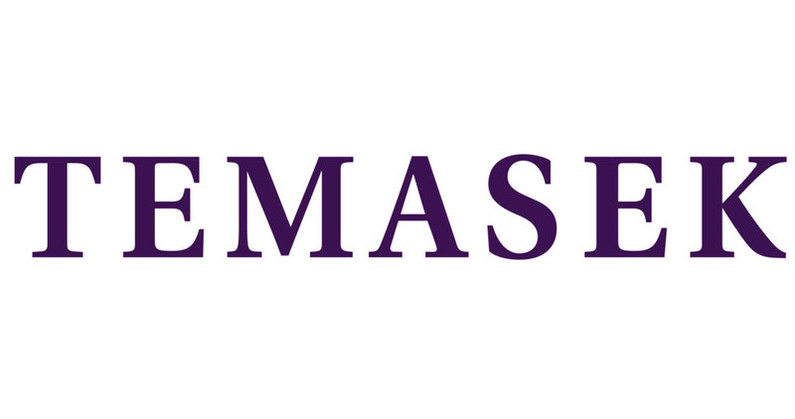 Logo 13